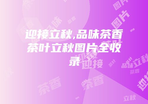 迎接立秋,品味茶香茶叶立秋图片全收录
