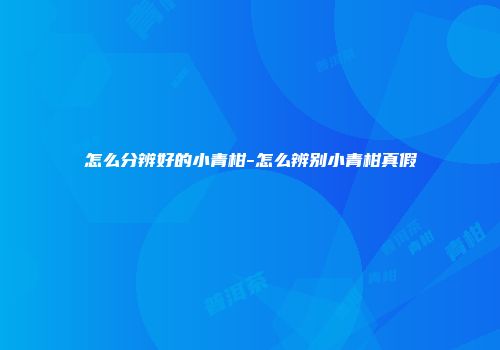 怎么分辨好的小青柑-怎么辨别小青柑真假
