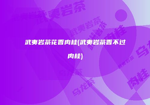 武夷岩茶花香肉桂(武夷岩茶香不过肉桂)