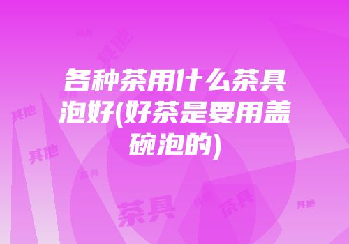 各种茶用什么茶具泡好(好茶是要用盖碗泡的)