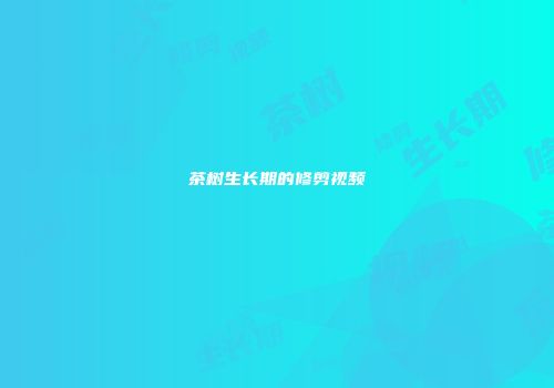 茶树生长期的修剪视频