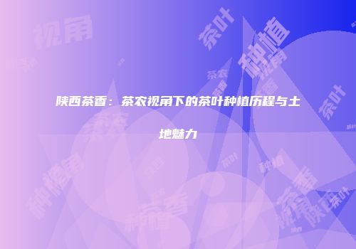 陕西茶香：茶农视角下的茶叶种植历程与土地魅力
