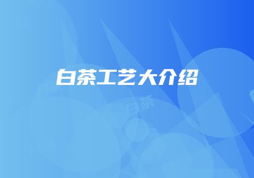 白茶工艺大介绍