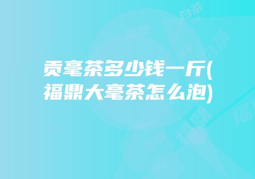 贡毫茶多少钱一斤(福鼎大毫茶怎么泡)
