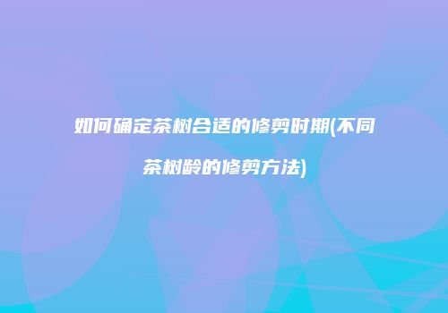 如何确定茶树合适的修剪时期(不同茶树龄的修剪方法)