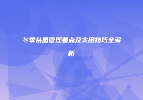 冬季茶园管理要点及实用技巧全解析