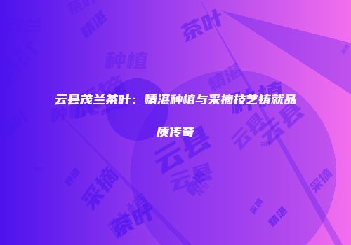 云县茂兰茶叶：精湛种植与采摘技艺铸就品质传奇