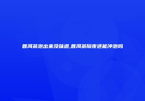 普洱茶泡出来没味道,普洱茶隔夜还能冲泡吗