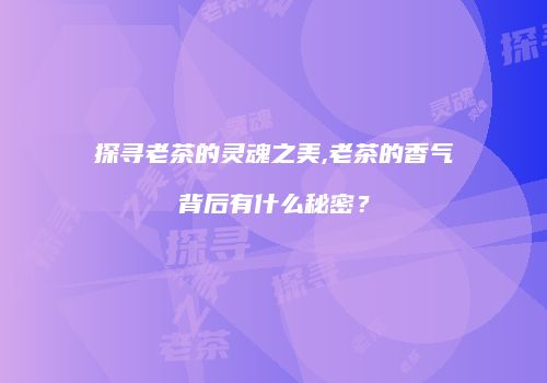 探寻老茶的灵魂之美,老茶的香气背后有什么秘密？