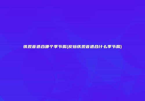 铁观音适合哪个季节喝(炭焙铁观音适合什么季节喝)