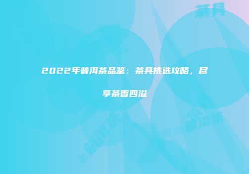 2022年普洱茶品鉴：茶具挑选攻略，尽享茶香四溢