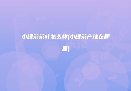 小罐茶茶叶怎么样(小罐茶产地在哪里)