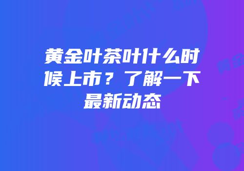黄金叶茶叶什么时候上市？了解一下最新动态