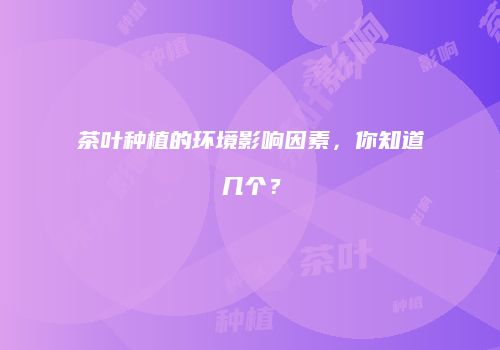 茶叶种植的环境影响因素，你知道几个？