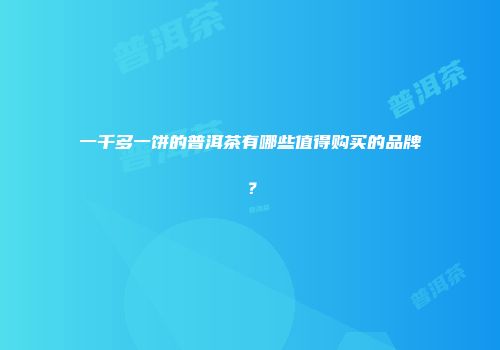 一千多一饼的普洱茶有哪些值得购买的品牌？