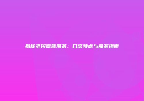 揭秘老班章普洱茶：口感特点与品鉴指南