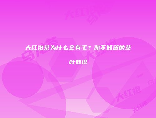 大红袍茶为什么会有毛？你不知道的茶叶知识