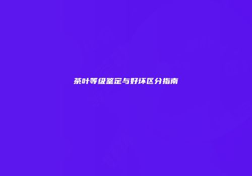 茶叶等级鉴定与好坏区分指南