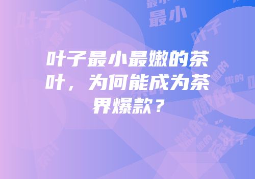 叶子最小最嫩的茶叶，为何能成为茶界爆款？