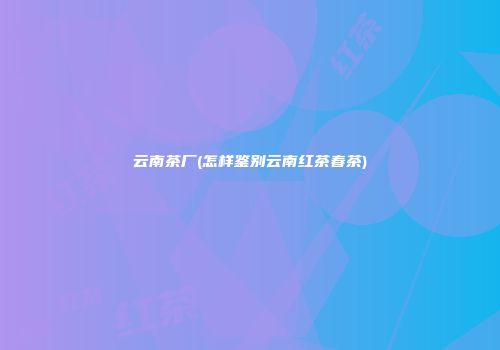 云南茶厂(怎样鉴别云南红茶春茶)