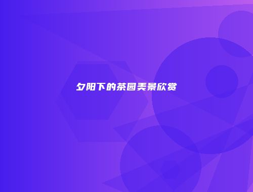 夕阳下的茶园美景欣赏