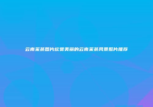 云南采茶图片欣赏美丽的云南采茶风景照片推荐