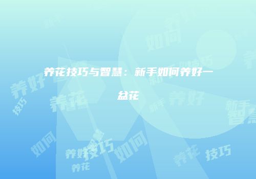 养花技巧与智慧：新手如何养好一盆花