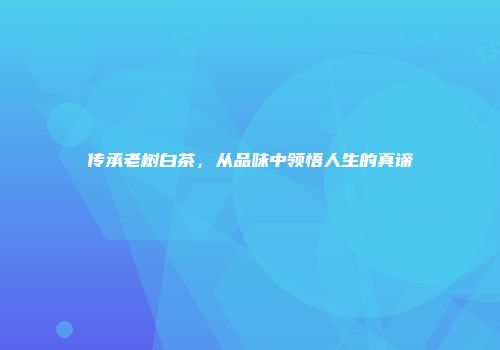传承老树白茶，从品味中领悟人生的真谛