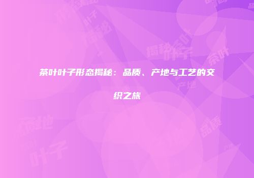 茶叶叶子形态揭秘：品质、产地与工艺的交织之旅