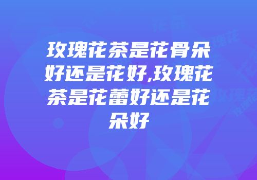 玫瑰花茶是花骨朵好还是花好,玫瑰花茶是花蕾好还是花朵好