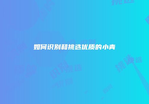 如何识别和挑选优质的小青