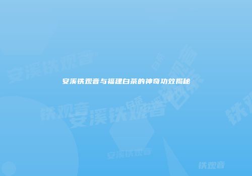 安溪铁观音与福建白茶的神奇功效揭秘