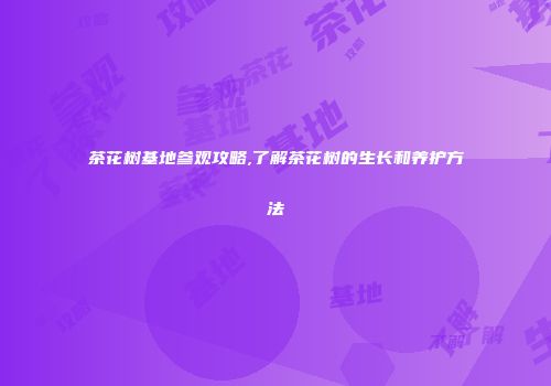 茶花树基地参观攻略,了解茶花树的生长和养护方法