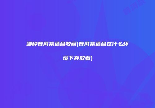 哪种普洱茶适合收藏(普洱茶适合在什么环境下存放着)