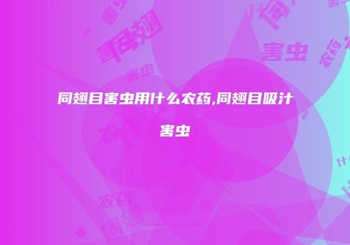 同翅目害虫用什么农药,同翅目吸汁害虫