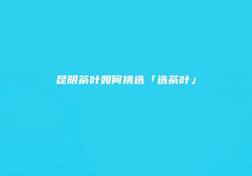 昆明茶叶如何挑选「选茶叶」