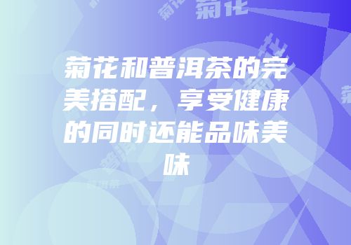 菊花和普洱茶的完美搭配，享受健康的同时还能品味美味