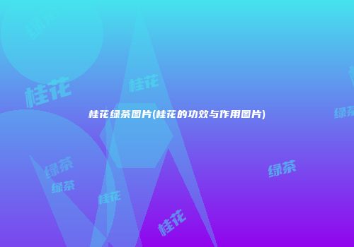 桂花绿茶图片(桂花的功效与作用图片)