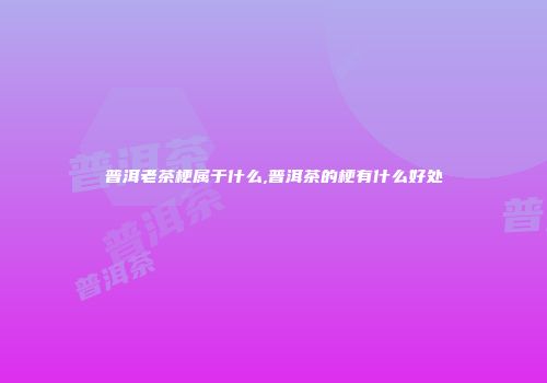 普洱老茶梗属于什么,普洱茶的梗有什么好处