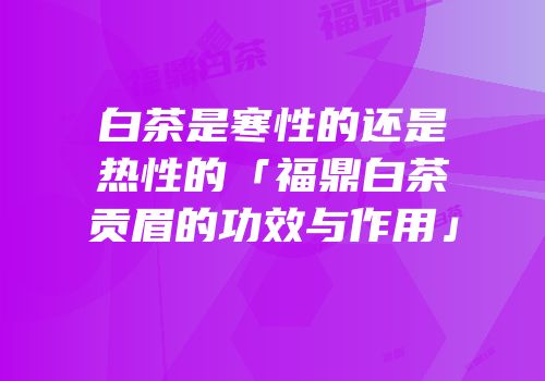 白茶是寒性的还是热性的「福鼎白茶贡眉的功效与作用」