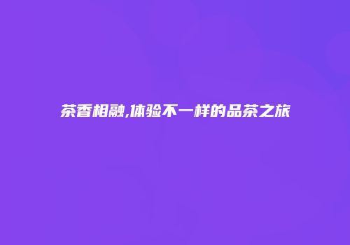 茶香相融,体验不一样的品茶之旅