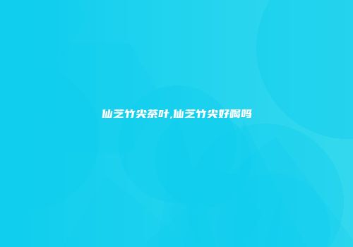仙芝竹尖茶叶,仙芝竹尖好喝吗