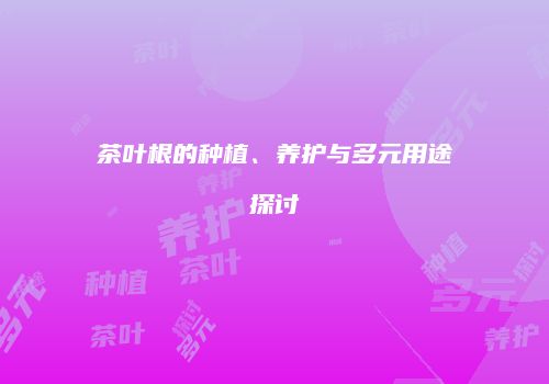 茶叶根的种植、养护与多元用途探讨