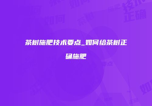茶树施肥技术要点_如何给茶树正确施肥