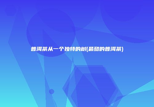 普洱茶从一个独特的树(最甜的普洱茶)
