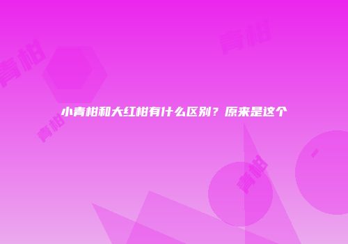 小青柑和大红柑有什么区别？原来是这个