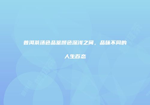普洱茶汤色品鉴颜色深浅之间，品味不同的人生百态