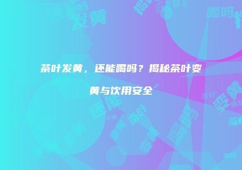 茶叶发黄，还能喝吗？揭秘茶叶变黄与饮用安全