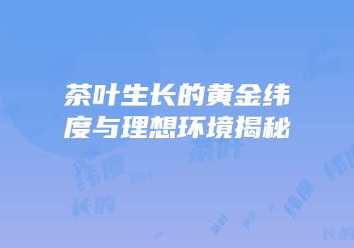 茶叶生长的黄金纬度与理想环境揭秘