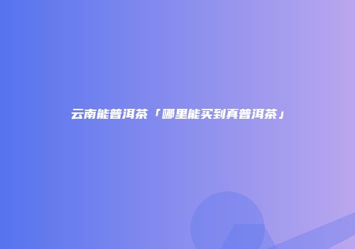 云南能普洱茶「哪里能买到真普洱茶」